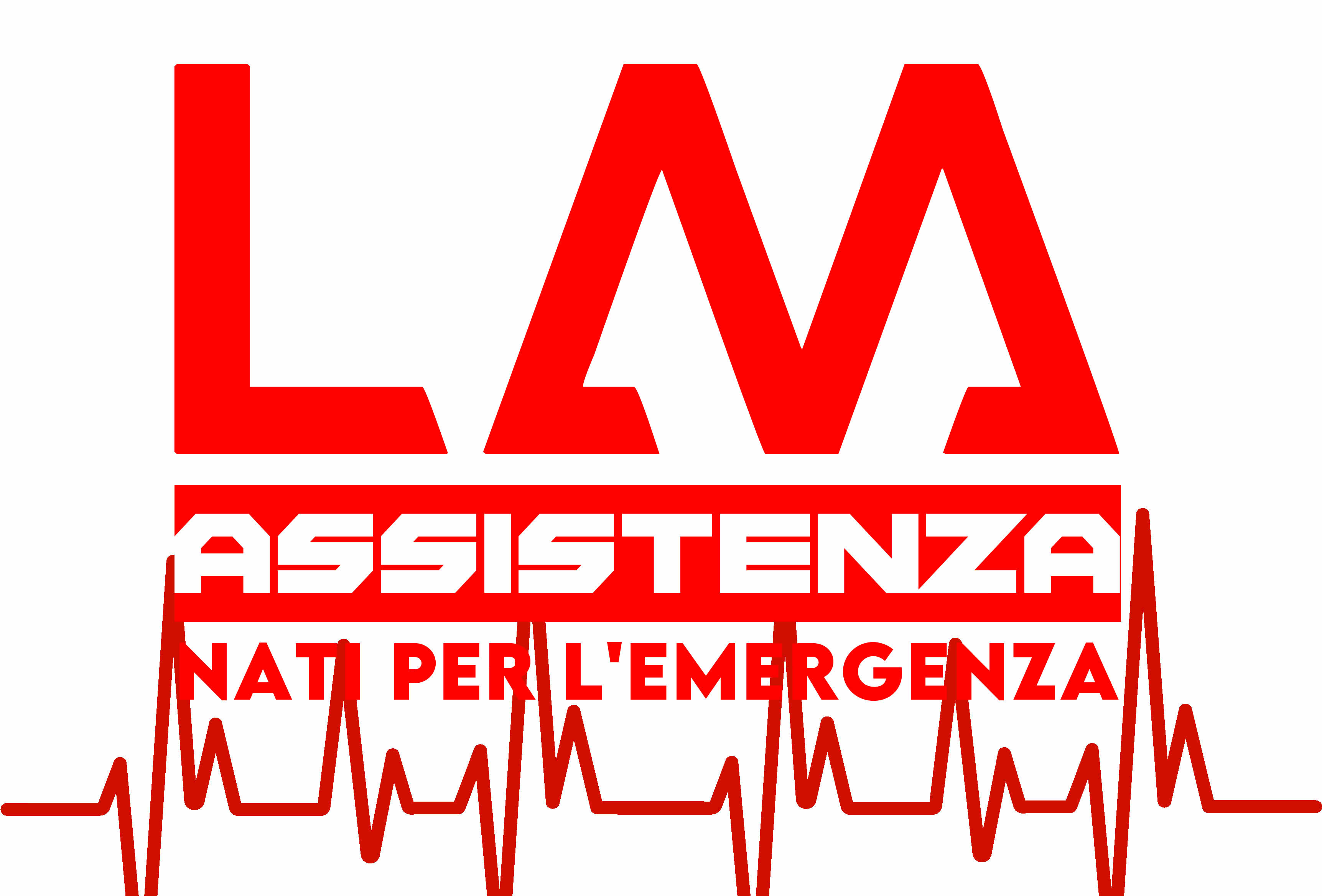 LM Assistenza